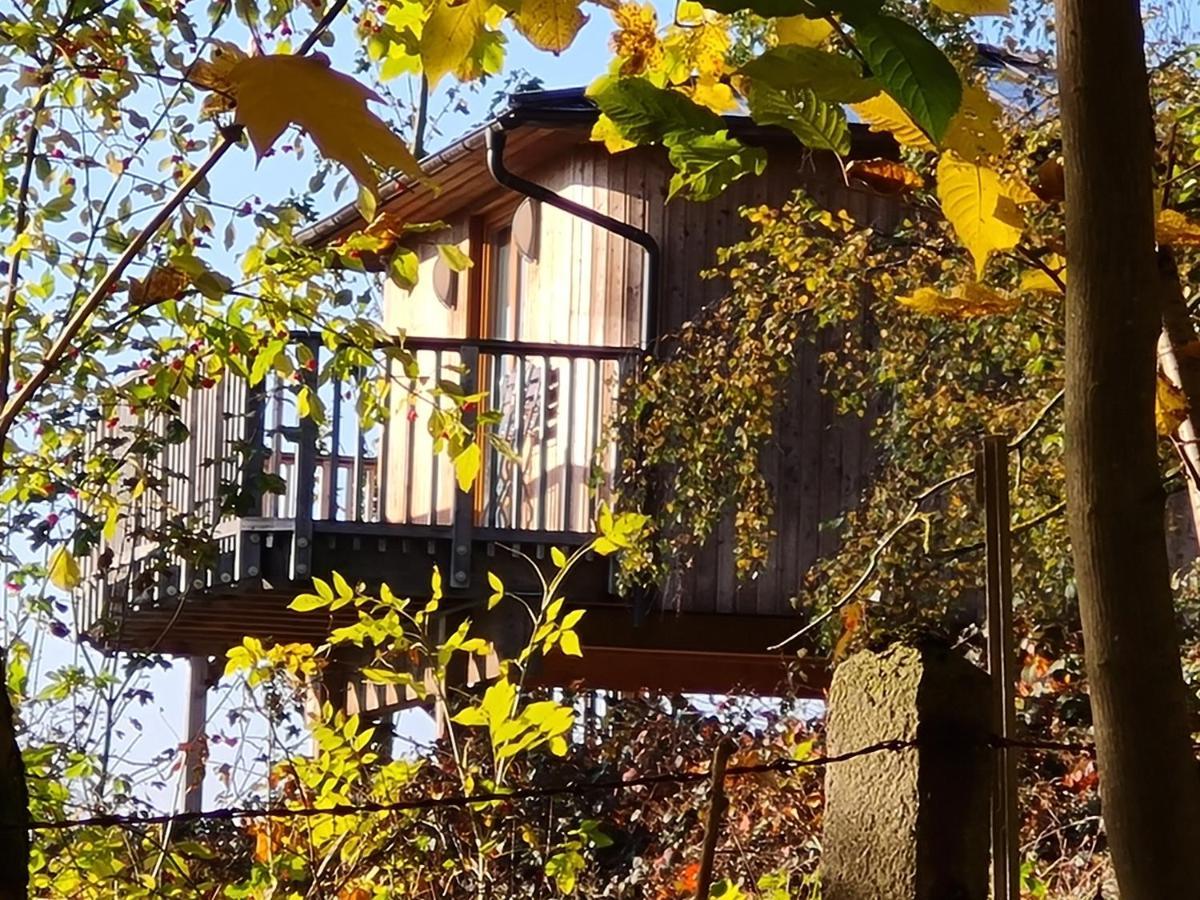 Hotel Waldquelle - Baumhaushotel Aerzen Eksteriør bilde