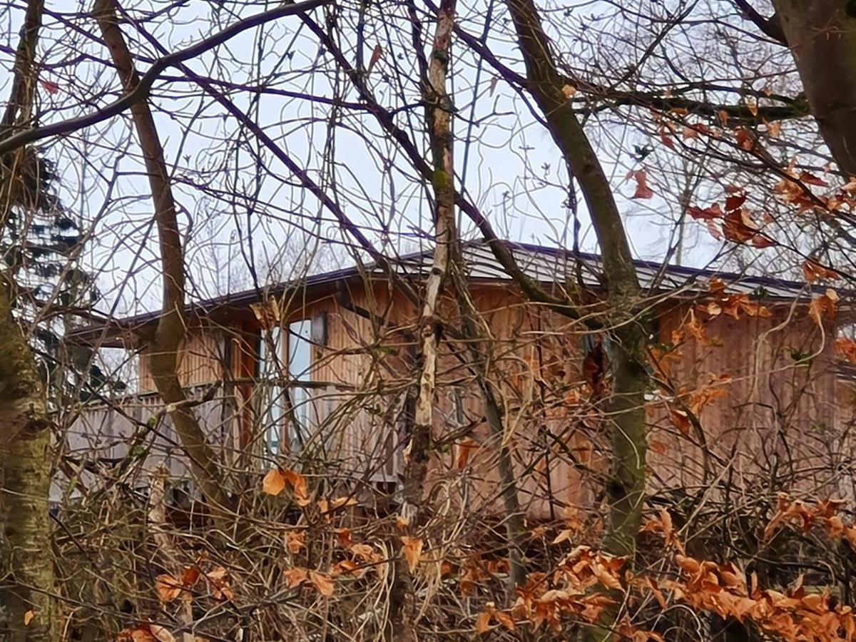 Hotel Waldquelle - Baumhaushotel Aerzen Eksteriør bilde