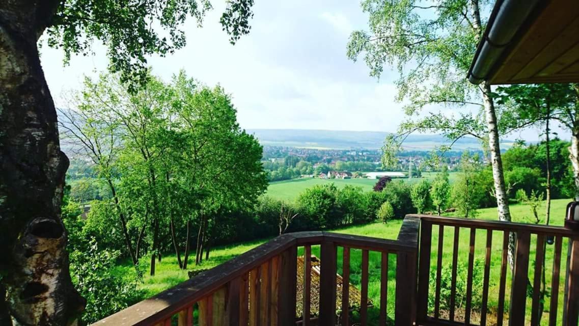 Hotel Waldquelle - Baumhaushotel Aerzen Eksteriør bilde